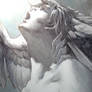 My Deviant ID