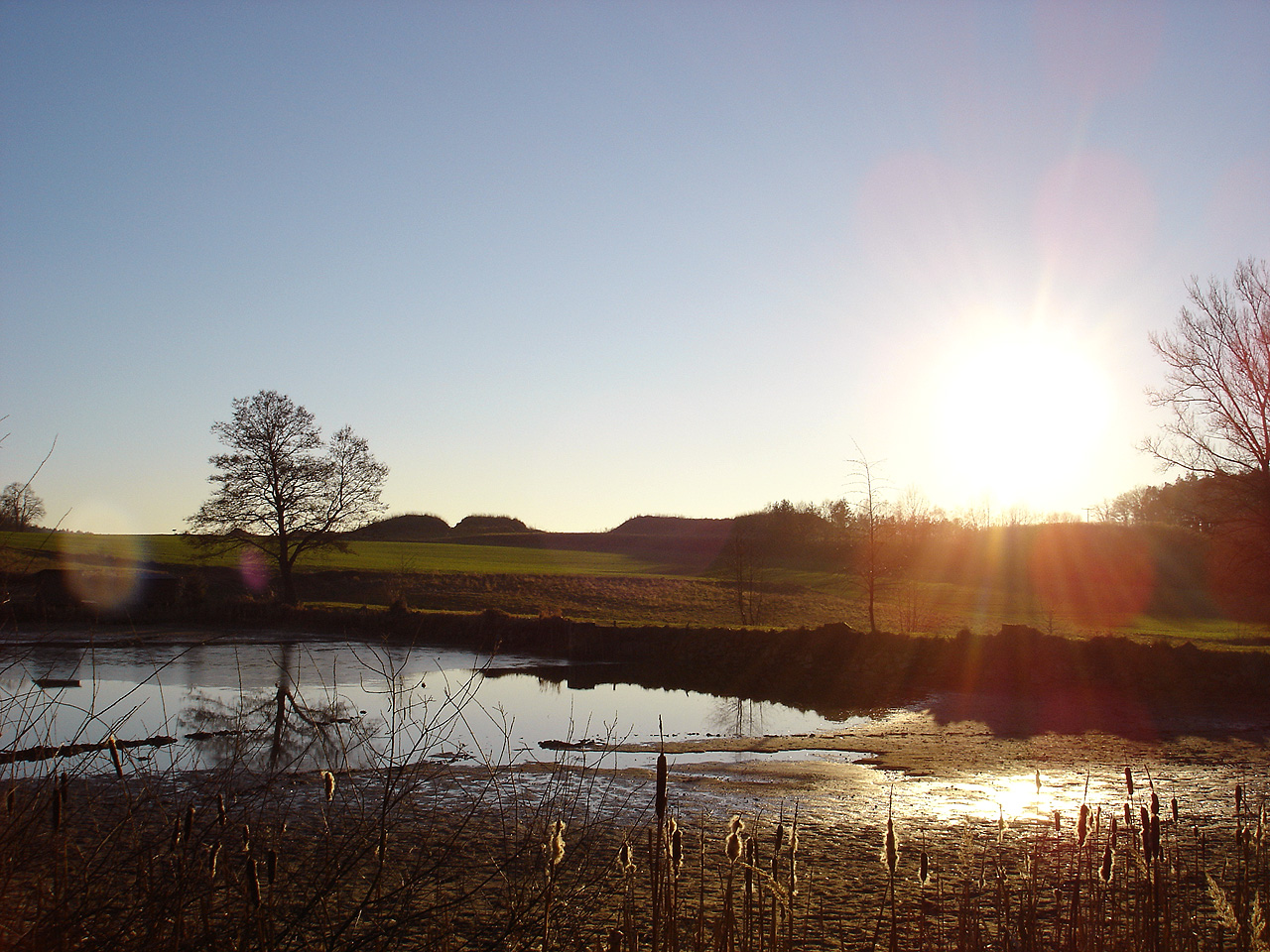 The Reed - January 2005