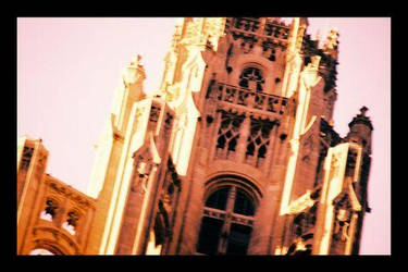 Tribune in Pink
