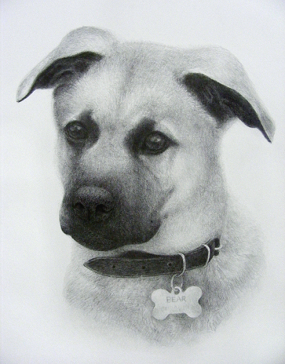 Puppy Portrait