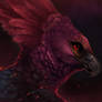 Embers