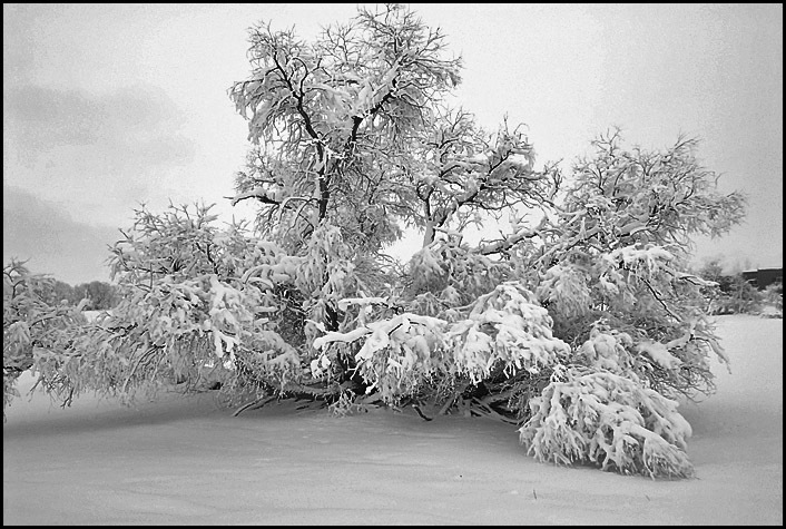 After the Snow