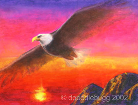 Eagle at Sunset