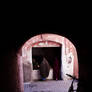 small vegetable stand, marrakesh, morocco