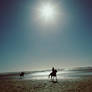 beach ride