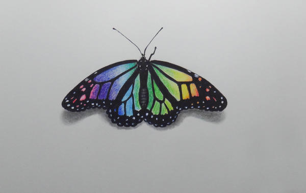 Colorful Butterfly Drawing