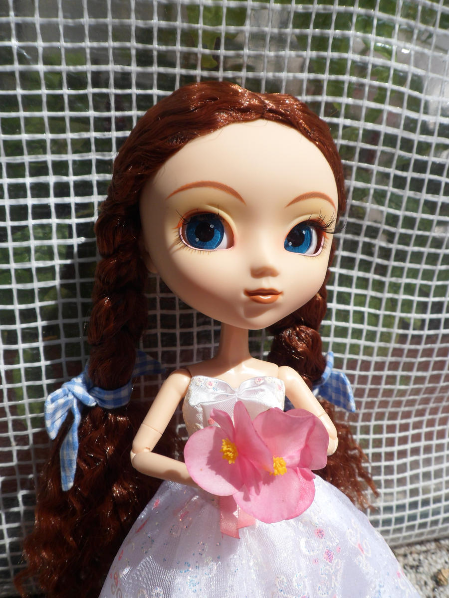 pullip linsy