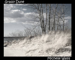 Grassy Dune