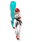 Classic Ryu by Modernerd