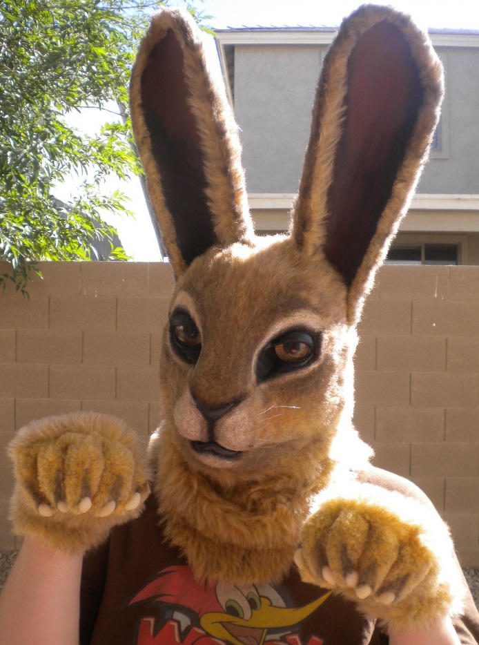 Jack Rabbit Skin Jack Rabbit by Enoki on DeviantArt