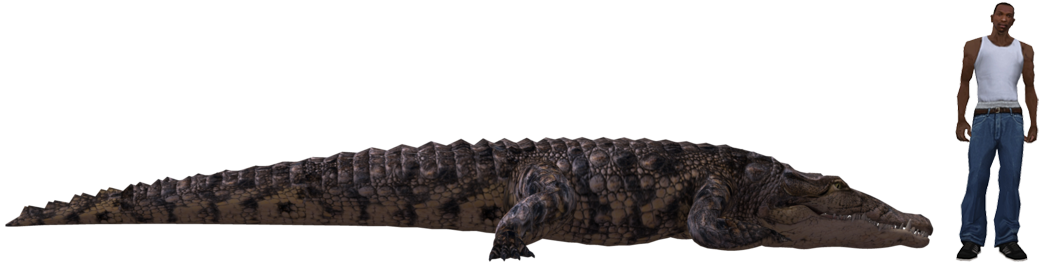 Pyro Raptor Size Size of the 7-meter croc compared to Carl Johnson by Pyro-raptor on ...