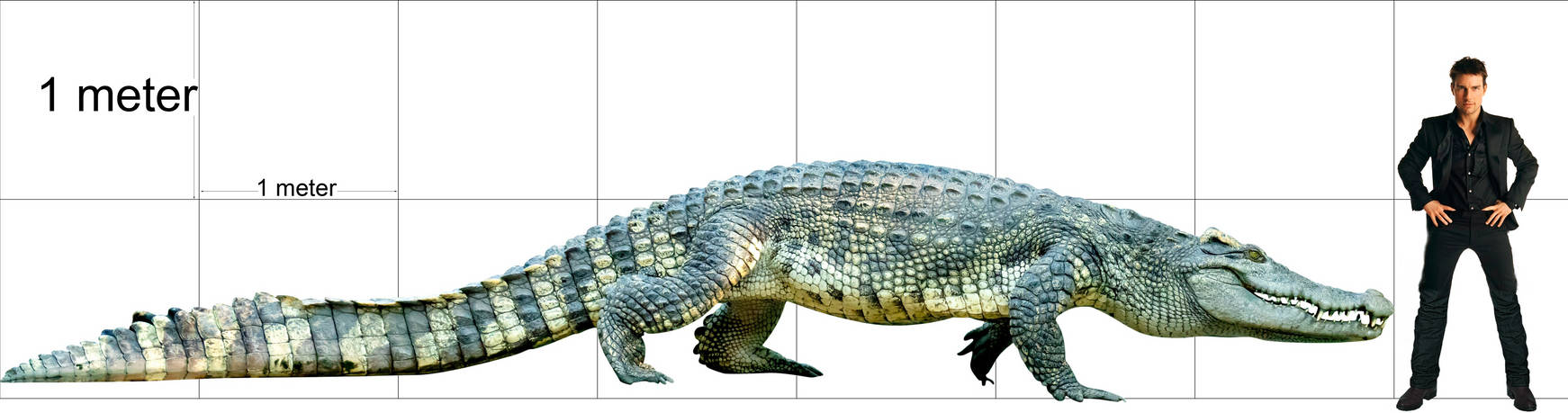 Pyro Raptor Size Size of a 7-meter crocodile compared to Ethan Hunt by Pyro-raptor on ...