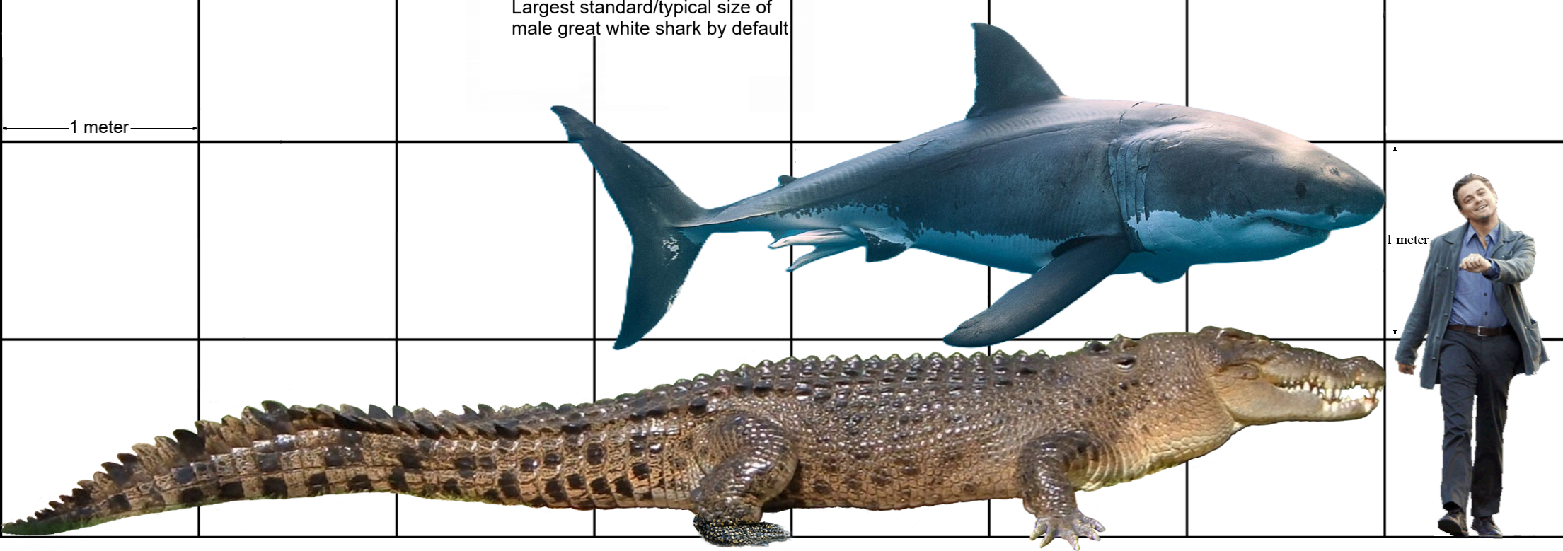 Pyro Raptor Size Typical largest size of this shark x the big croc by Pyro-raptor on ...