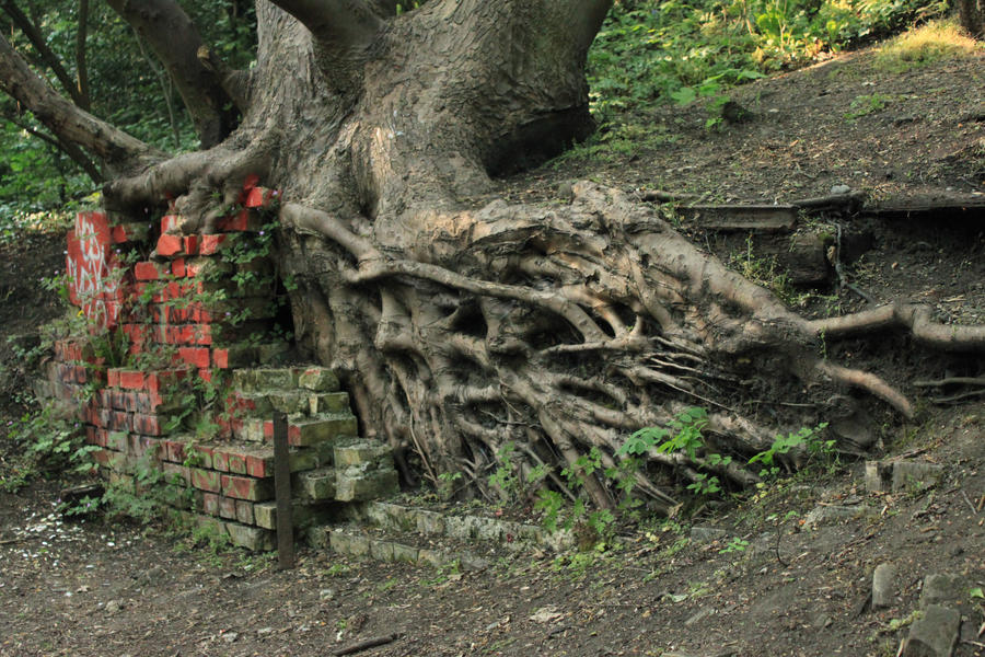 Moder Roots Modern Roots by eonalpha on DeviantArt