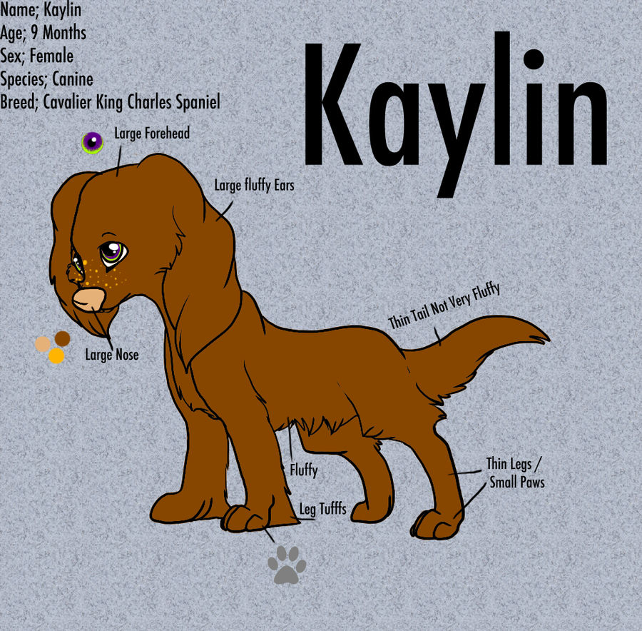 Cave Spring Kaylin .. Kaylin Reference .. by scudoo on DeviantArt