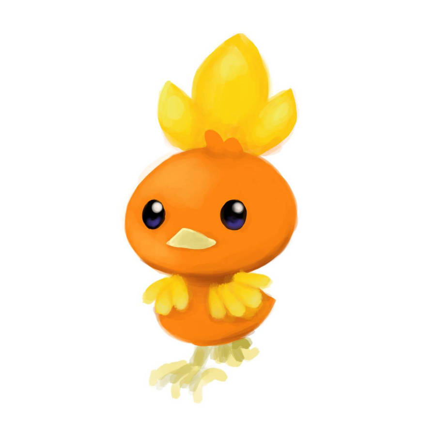 Torchic Rumble Torchic by Suzu97 on DeviantArt