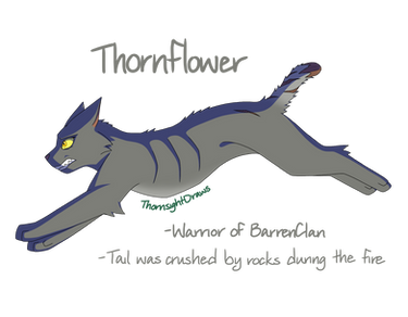 Thornflower of BarrenClan