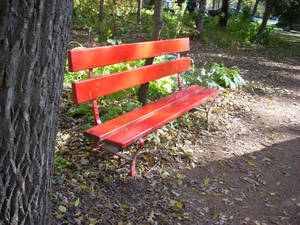 Red Bench