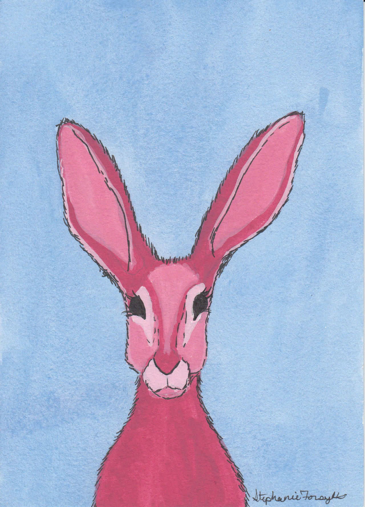 Talking Rabbit Deviantart Rabbit by stephanieforsyth on DeviantArt