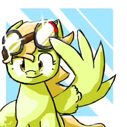 More Racer Ponies