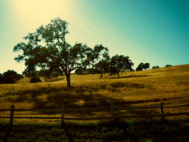 Wallpaper Neverland Ranch