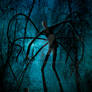 Slender Man and the Lost Soul