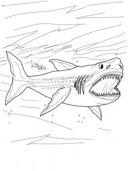 Megalodon shark drawning 2