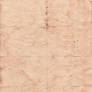 Coffee paper