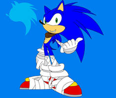 Sonic T. Hedgehog (sonic boom)