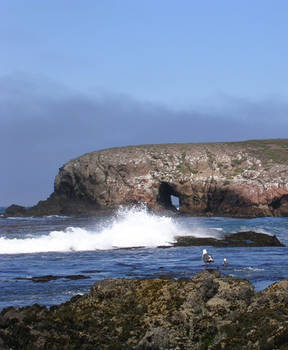 Santa Cruz Island- West End