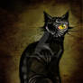 The Black Cat