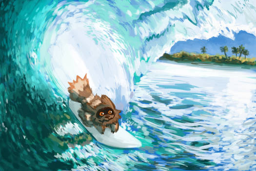 Zigzagoon used surf!