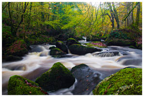 Fairy pond