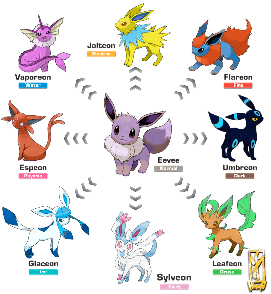 Here's a better graphic for the shiny Eeveelutions : r/TheSilphRoad