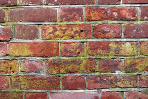 Victorian Mossy Red Brick Stck by aegiandyad