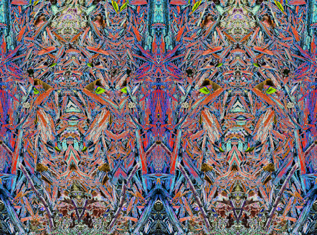 Stereoscopic Wood Rot Pattern by aegiandyad on DeviantArt