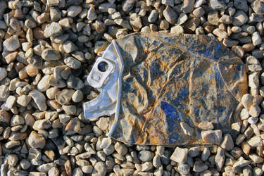 Pressed Can Gravel Fish