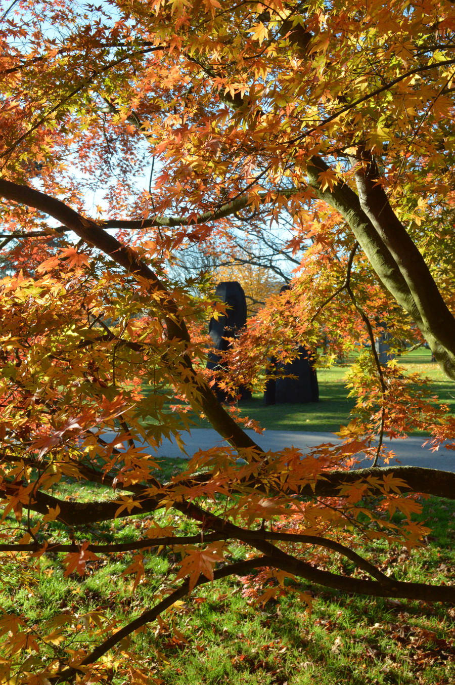 Nash Sculpture Seen Through Japanese Maple At Kew