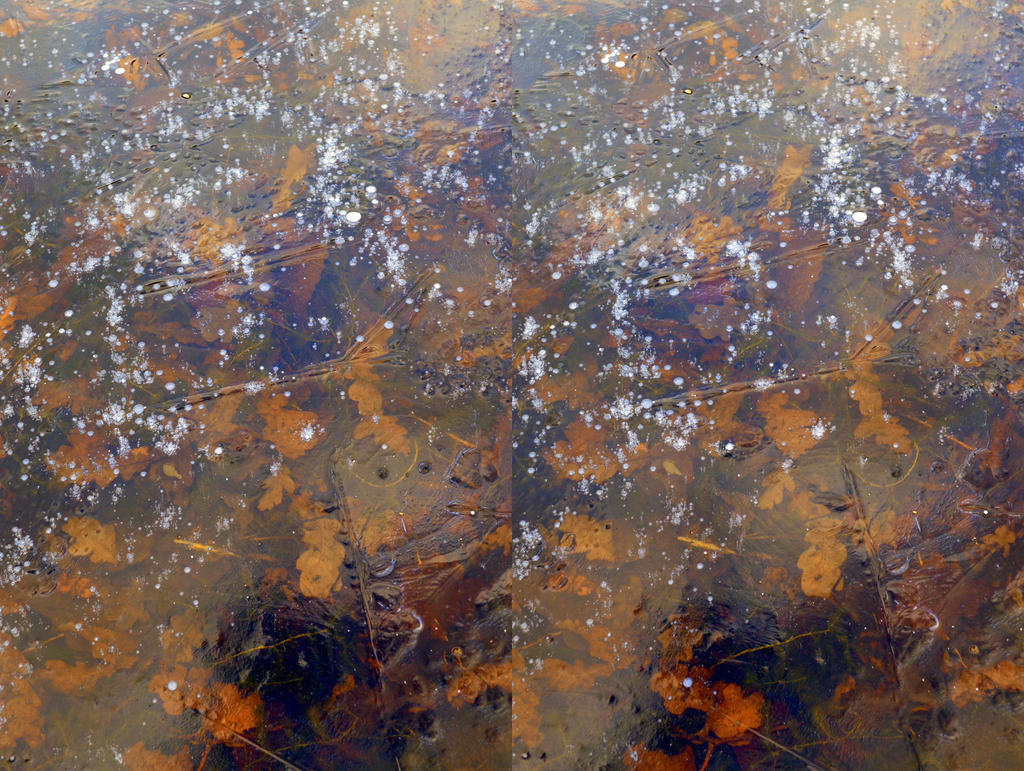 Ice On A Garden Lily Pond Cross Eye View Stereo