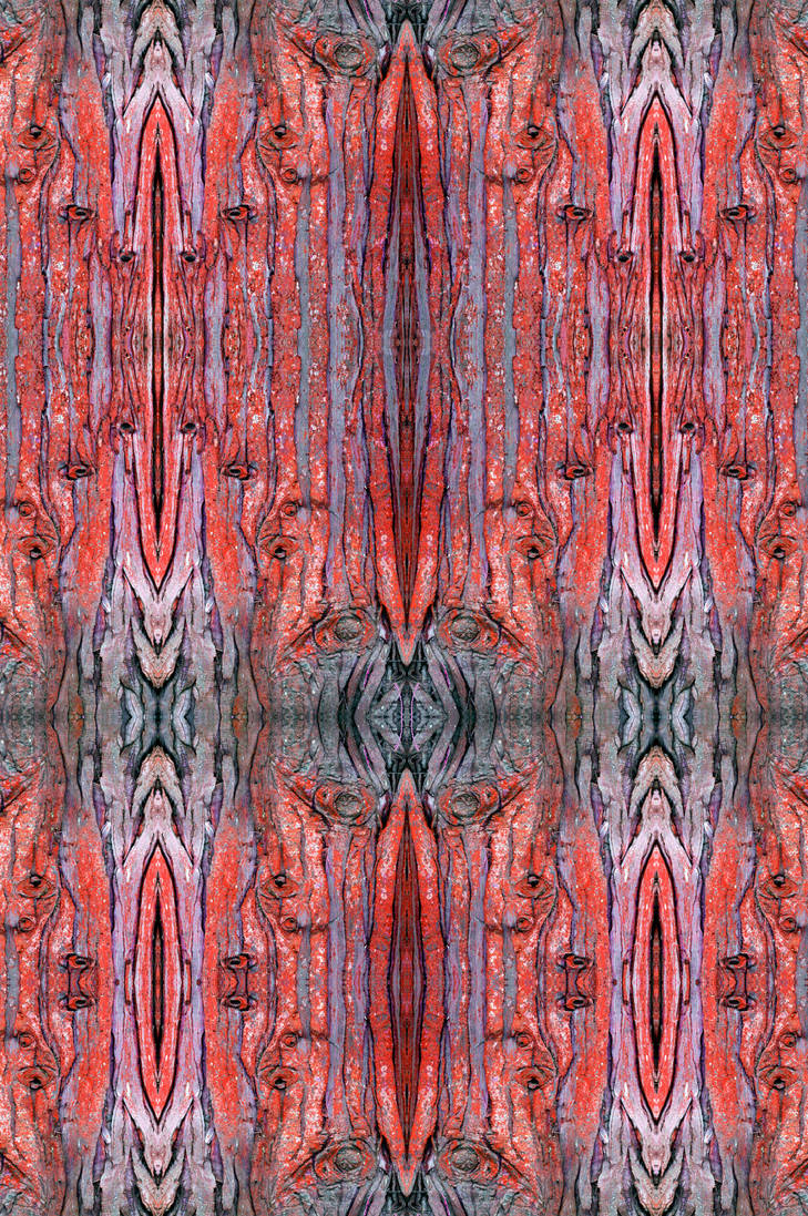 Grate-ification II More Things That Look Like Meat by aegiandyad on ...