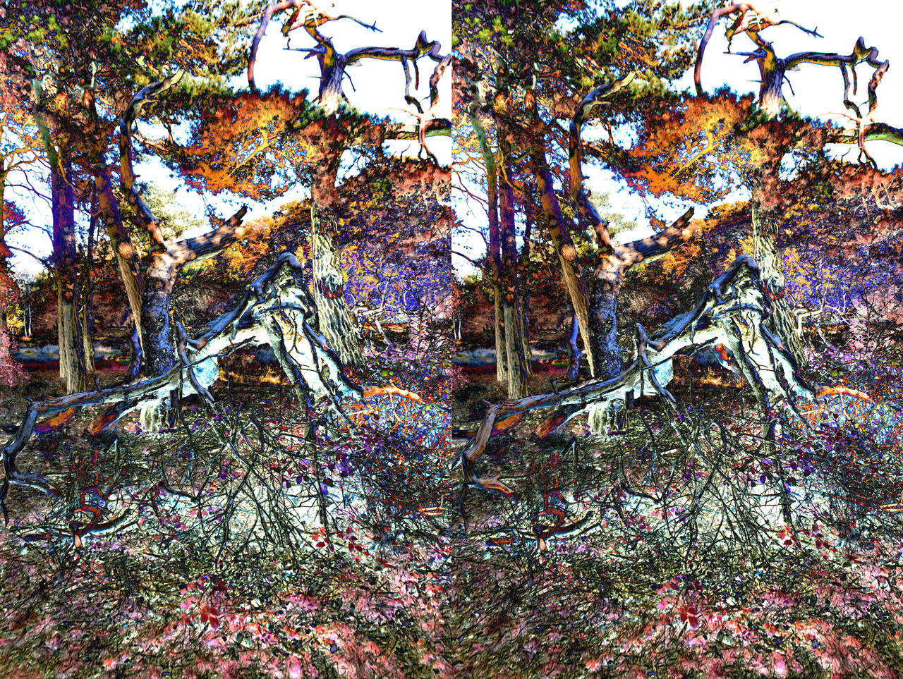 Radioactive Fallen Pine Stereoscopic Painting