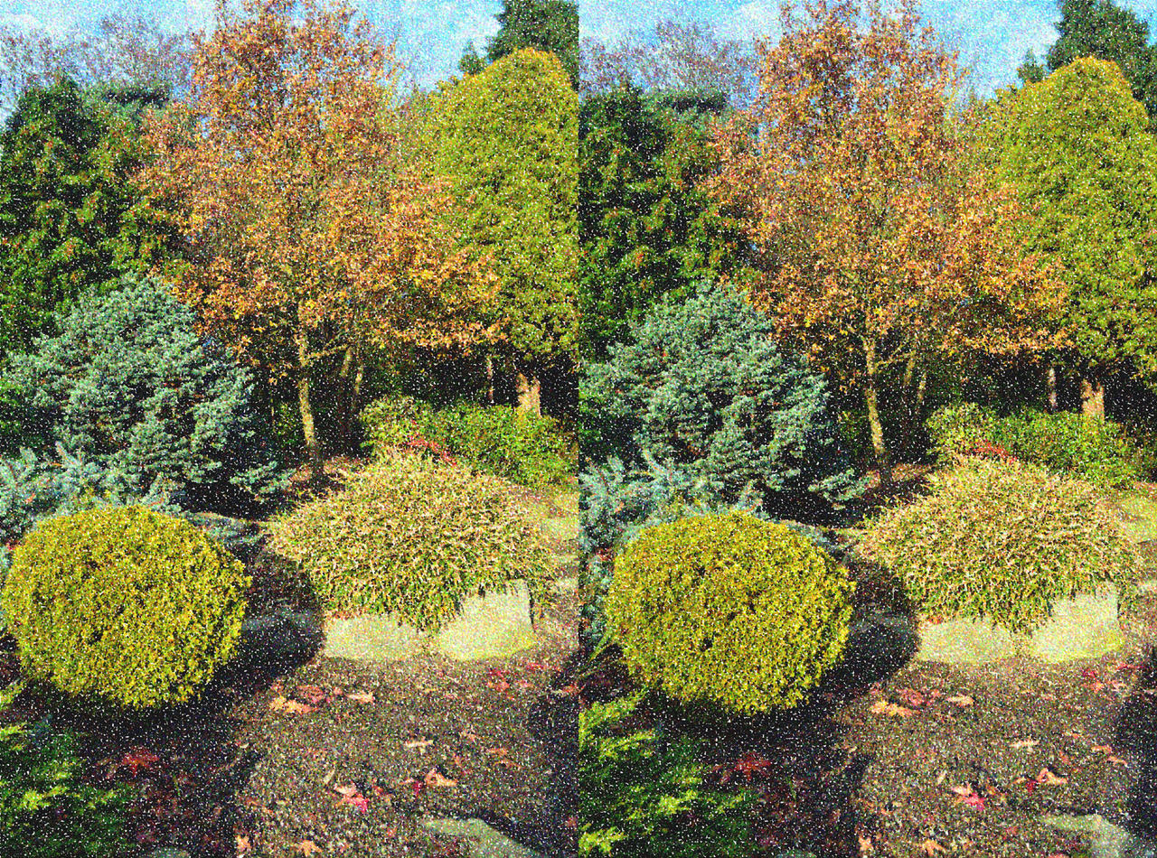 Pointilist Stereoscopic Sunlit Garden Landscape