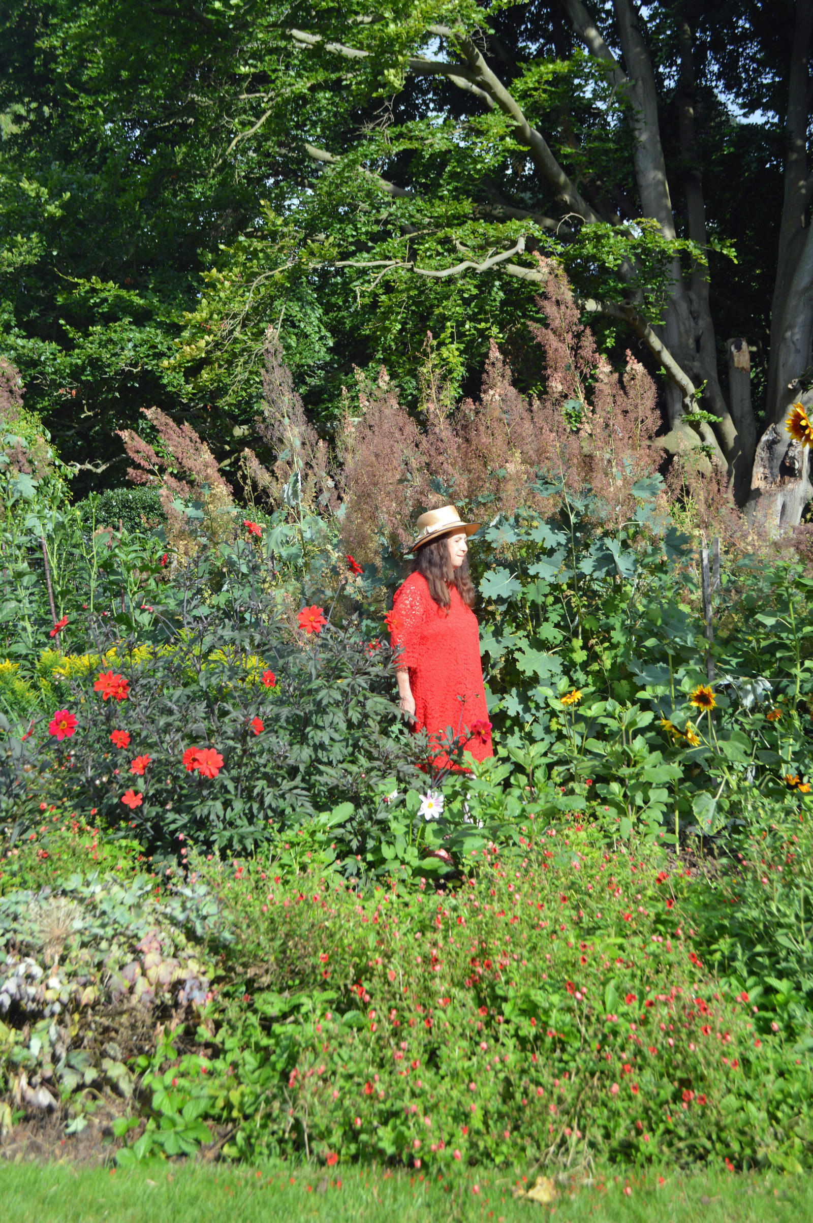 Coombe Wood Summer Border With Mrs a*