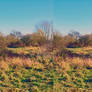 A South Norwood Country Park Stereoscopic Painting