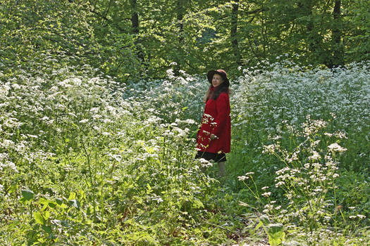 Mrs Aegian With Cow Parsley In Kew Gardens