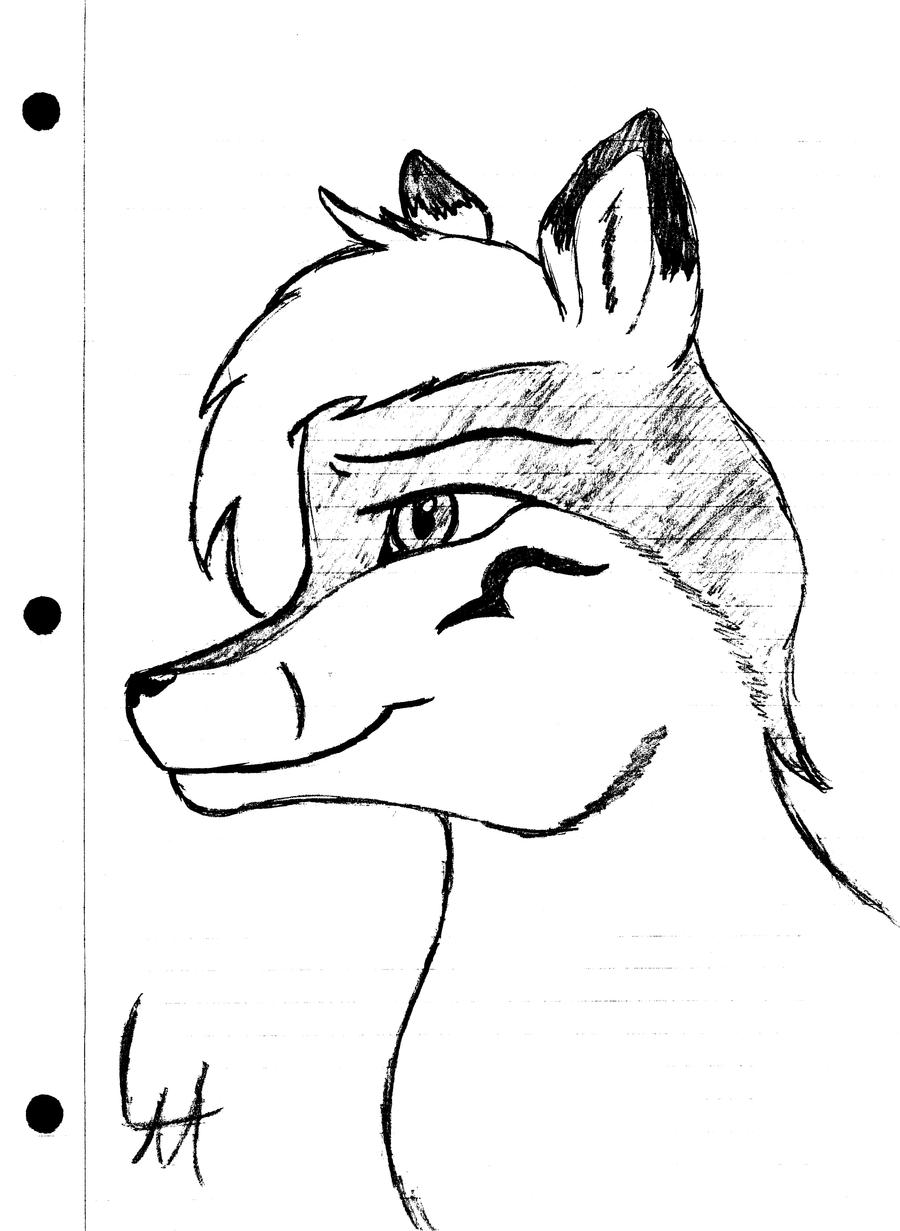 SilverSpirit98 (drawn better)