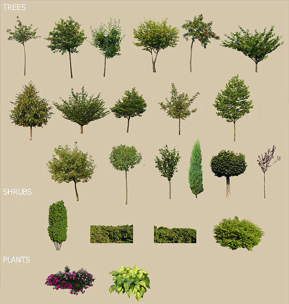 Free masked tree textures by mk3d on DeviantArt