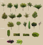 Free masked tree textures by mk3d on DeviantArt