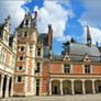 Chateau de Blois 2