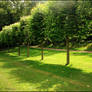 In the gardens of Villandry